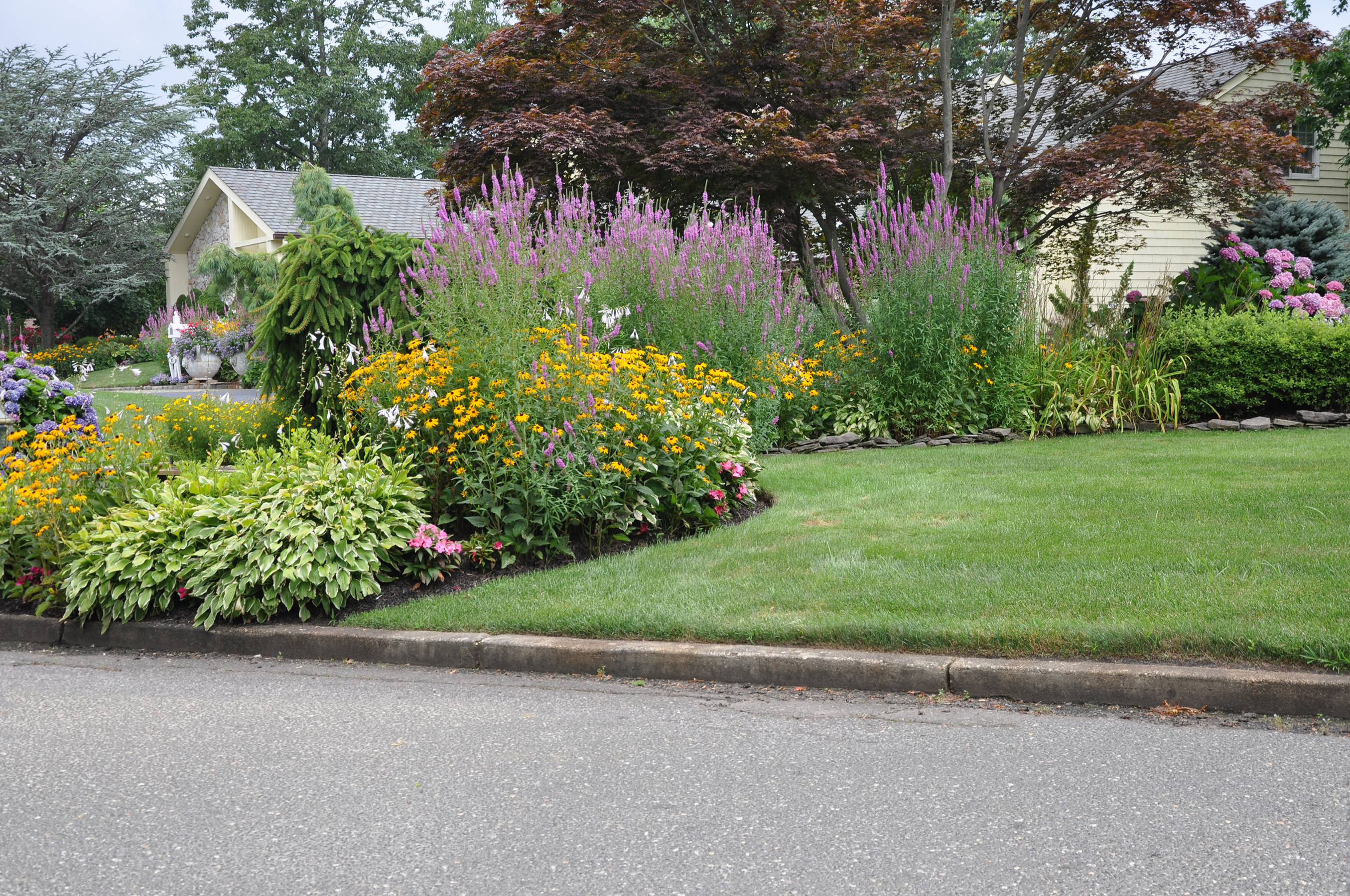 plant perennials for easy curb appeal | espoma