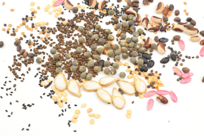 dried vegetable seeds