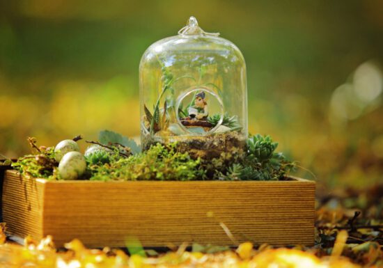 Diorama with Elf and plants