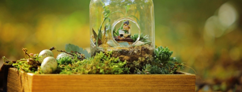 Diorama with Elf and plants
