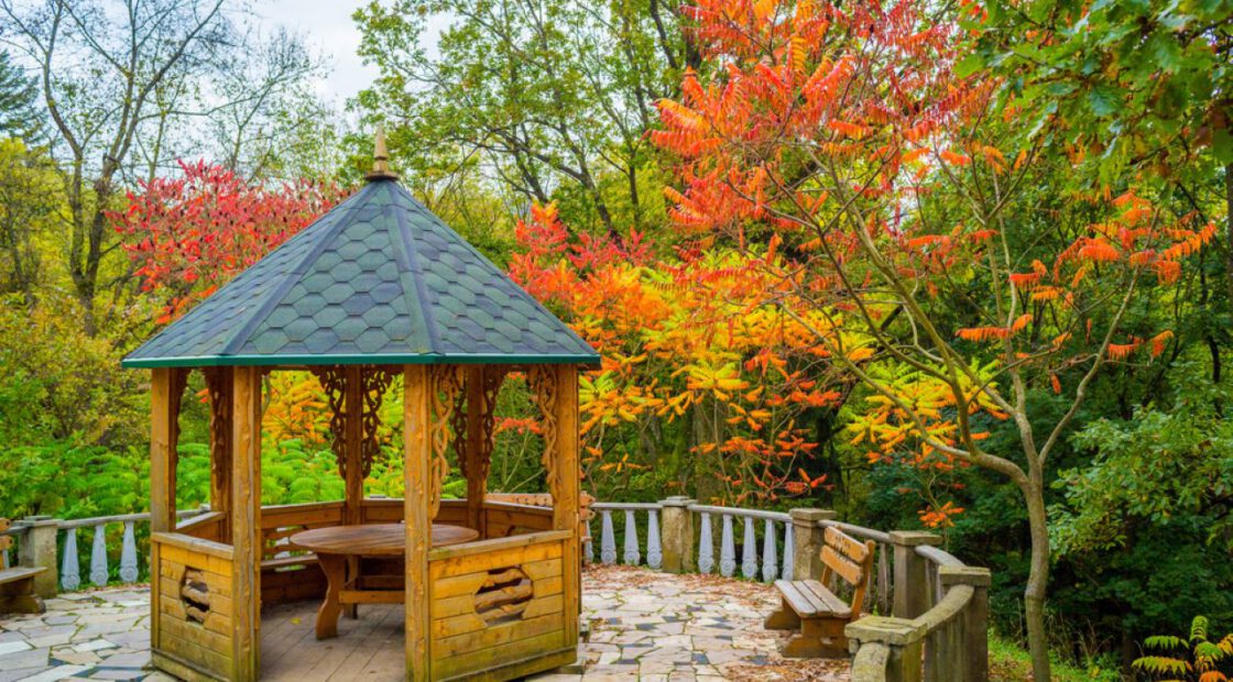 Fall leaves and trees, foliage, gazebo