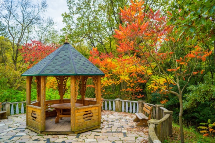 fall foliage