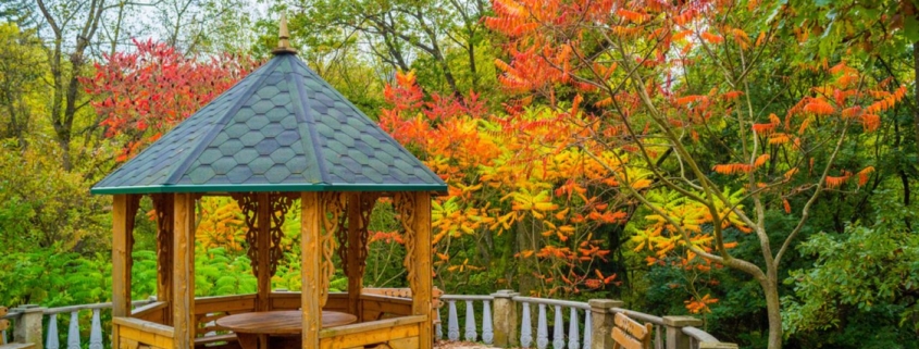 Fall leaves and trees, foliage, gazebo