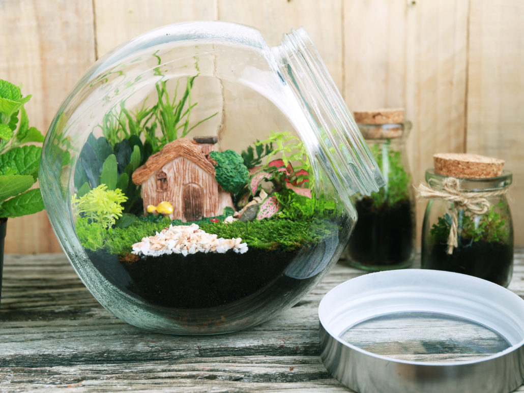 How To Make An Easy Terrarium