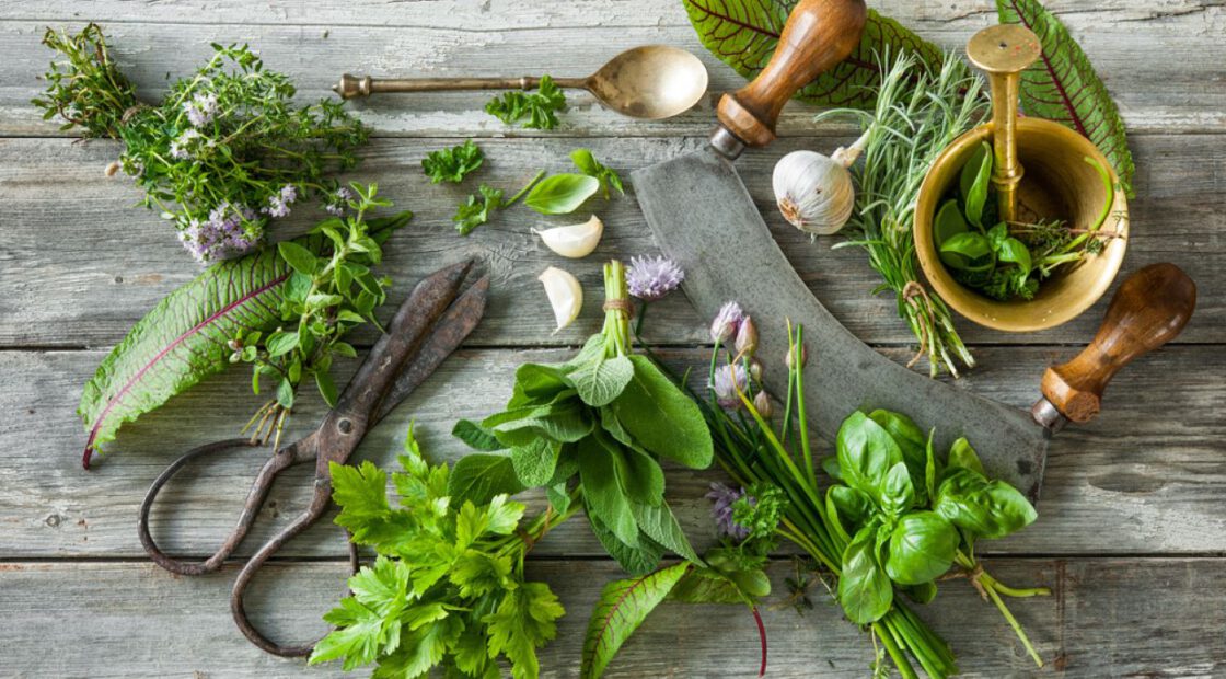 herbs, shears