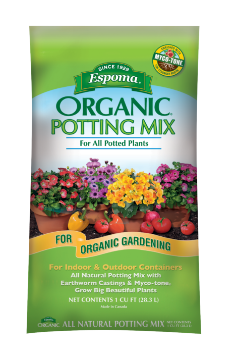 How To Care And Propagate Pilea Peperomiodies Espoma Organic