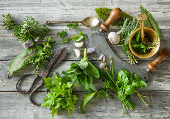herbs, shears