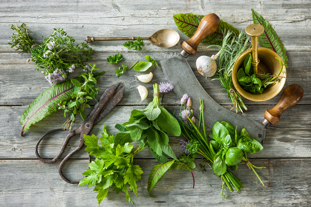 How to Dry Herbs - Roots and Refuge