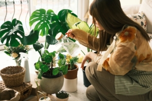 woman watering indoor plants