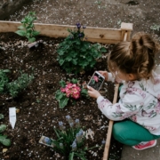 girl taking pictures of flowers