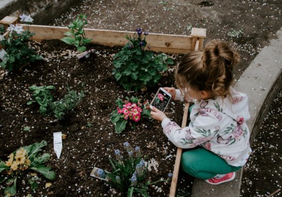 girl taking pictures of flowers