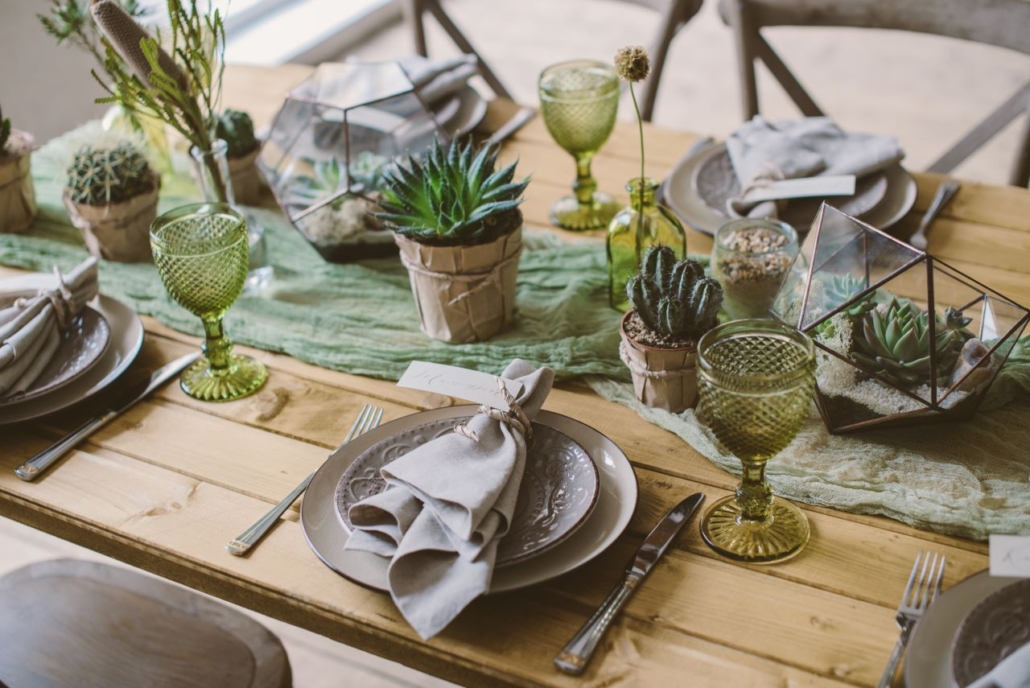 Table set with succulents and cactuses, dining