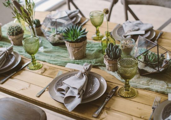 Table set with succulents and cactuses, dining