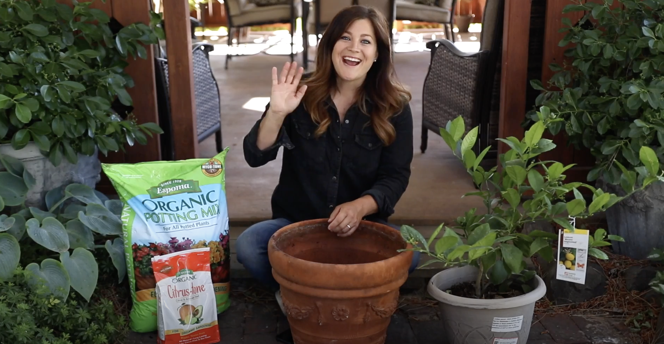 Video: How to Plant Citrus in Containers - Espoma Organic