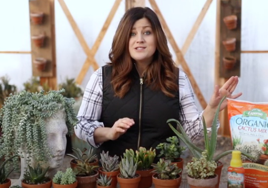 Laura from Garden Answer with Succulents