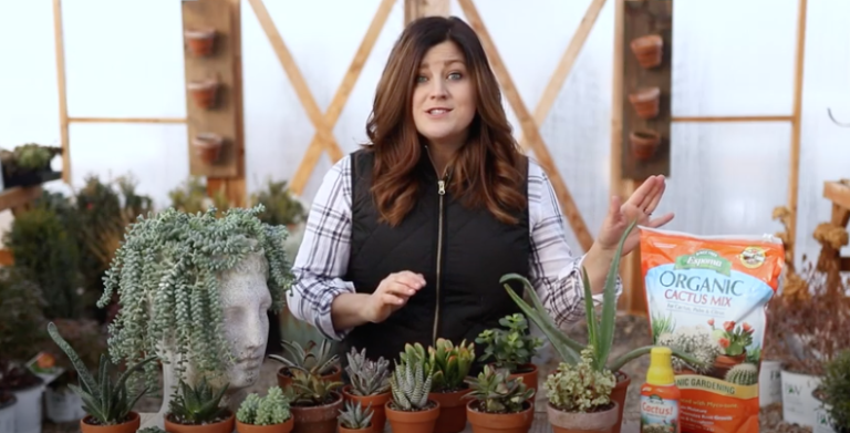 Laura from Garden Answer with Succulents
