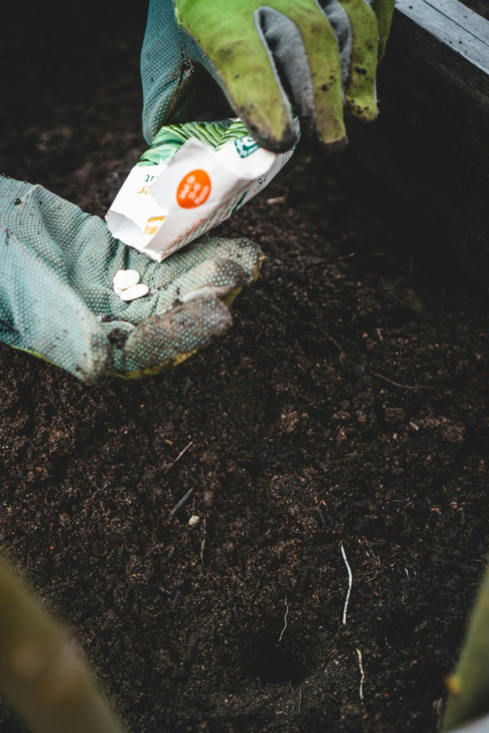 Sowing Seeds indoors