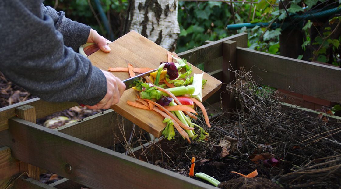 composting, vegetable scraps, organic