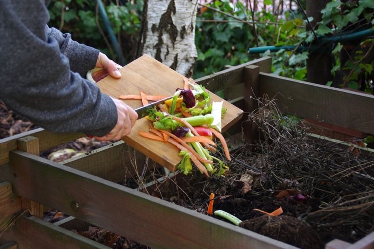 composting, vegetable scraps, organic