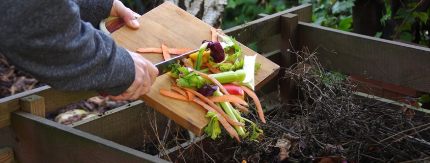 composting, vegetable scraps, organic