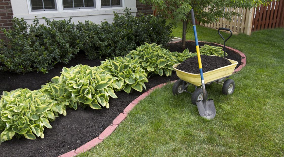mulch, mulching, organic, wheelbarrow