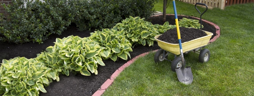 mulch, mulching, organic, wheelbarrow