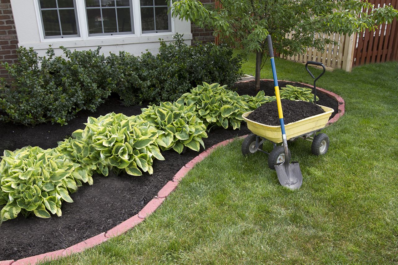 Mulch to Talk About 5 Reasons to Add Mulch Now Espoma