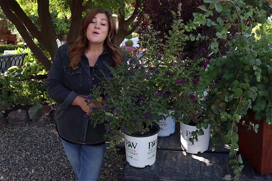 Video Planting Shrubs with Garden Answer Espoma
