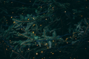 christmas tree with christmas lights