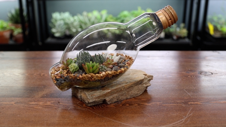 lightbulb terrarium