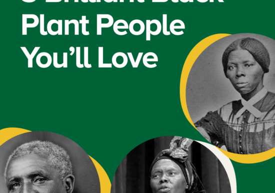 3 Brilliant Black Plant People