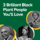 3 Brilliant Black Plant People