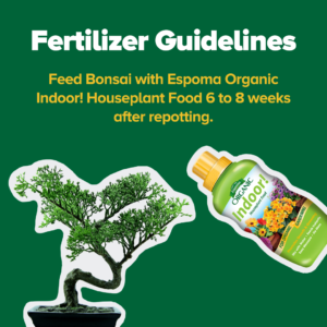 Bonsai Fertilizers