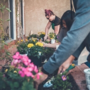 people gardening together