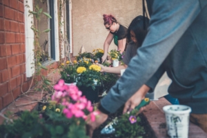 people gardening together