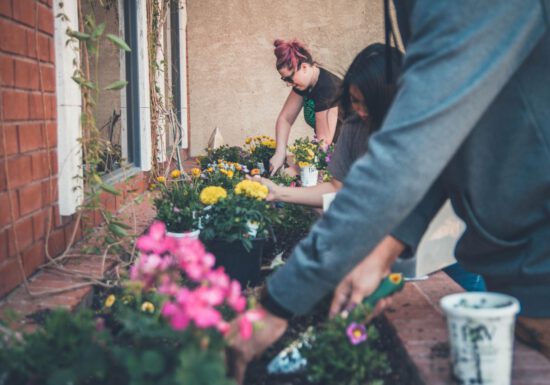 people gardening together