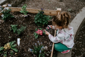 child taking picture of a flower