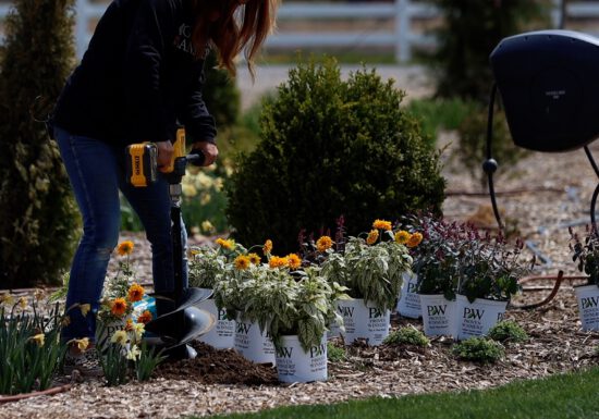 Planting perennials