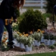 Planting perennials