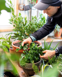 Kaleb with house plants