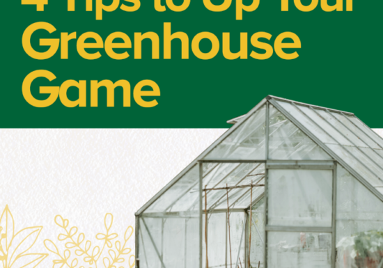 4 tips to up your greenhouse game, bloom, grow