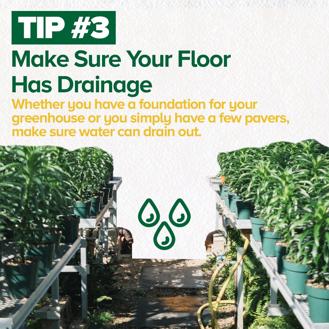 Espoma Beginners Guide to Greenhouses Southern Garden Scents