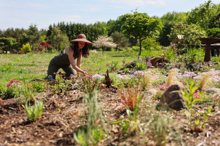 Pollinator Garden – IMG_2320 1