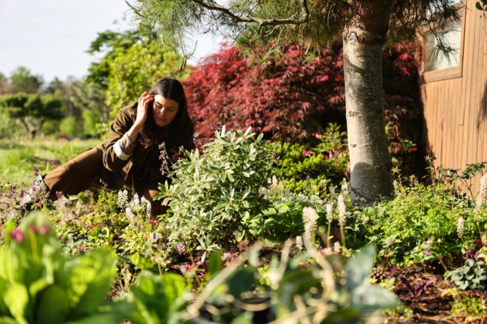 Shade Garden May – IMG_2376 1
