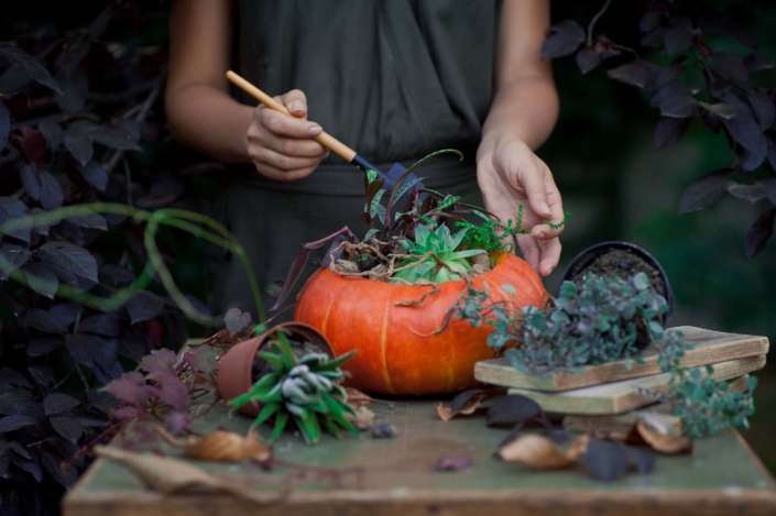 Beautiful,Fall,Bouquet,In,A,Vase,From,Pumpkin.,Preparation,For
