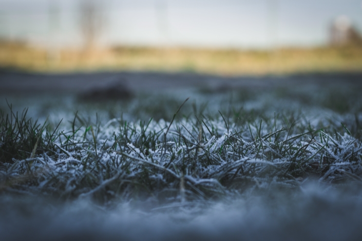 chris-anderson-DolDYtdA8HU-unsplash