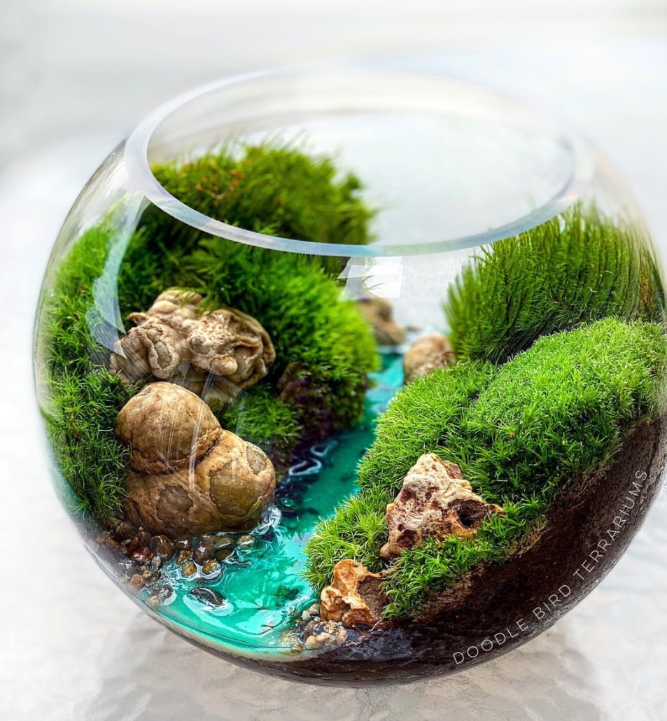 Creating a Moss Terrarium Garden for Gorgeous Green Indoor Decor