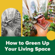 how to green up your living space