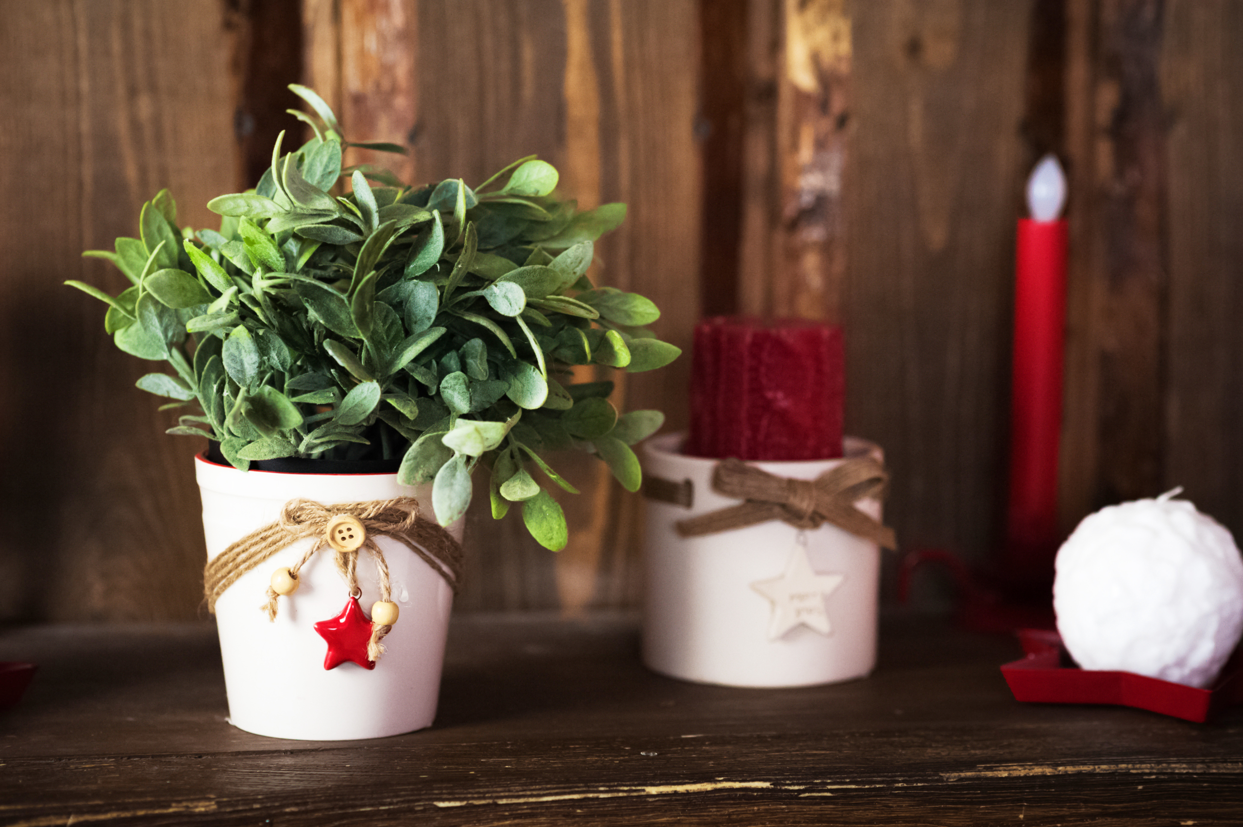 The Gift That Keeps on Growing: Green Gifting!| Espoma Organic