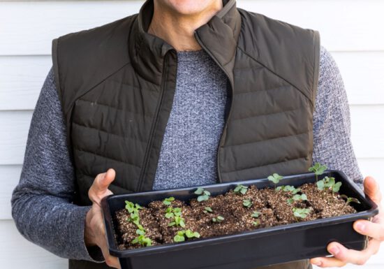 Kaleb Wyse with a planter full of sprouted seeds